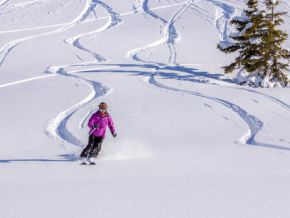 Les Portes du Mont-Blanc